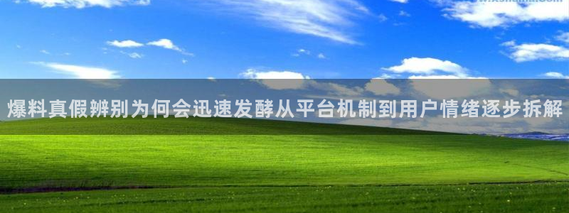 每日热点榜：爆料真假辨别为何会迅速发酵从平台机制到用户情绪逐步拆解