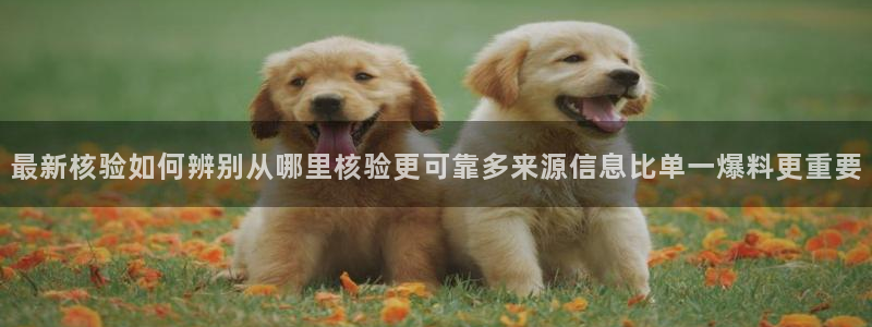 黑料今日话题:最新核验如何辨别从哪里核验更可靠多来源信息比单一爆料更重要