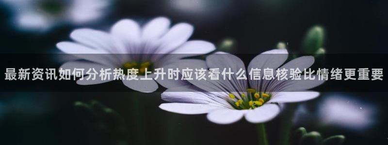 黑料爆料网络热点网：最新资讯如何分析热度上升时应该看什么信息核验比情绪更重要