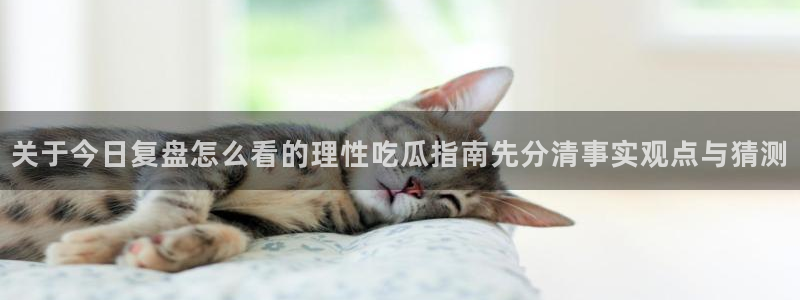 网络事件大全：关于今日复盘怎么看的理性吃瓜指南先分清事实观点与猜测