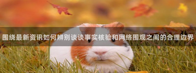 黑料爆料大全：围绕最新资讯如何辨别谈谈事实核验和网络围观之间的合理边界