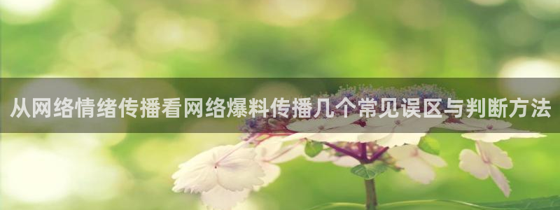 黑料爆料事件榜:从网络情绪传播看网络爆料传播几个常见误区与判断方法
