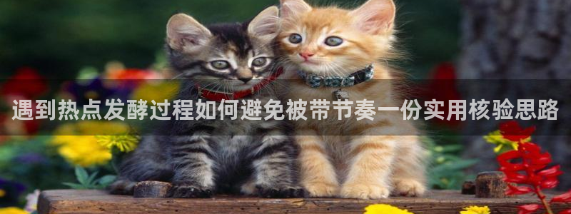 网络热门爆料：遇到热点发酵过程如何避免被带节奏一份实用核验思路