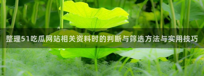 网络热点资讯:整理51吃瓜网站相关资料时的判断与筛选方法与实用技巧