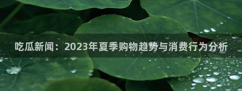 网络热点资讯:吃瓜新闻:2023年夏季购物趋势与消费行为分析